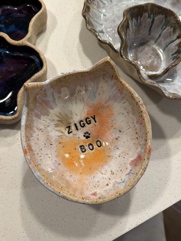 ziggy + boo cat bowl