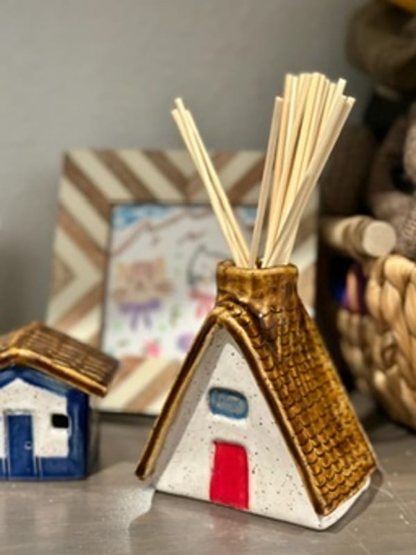lil oil diffuser house