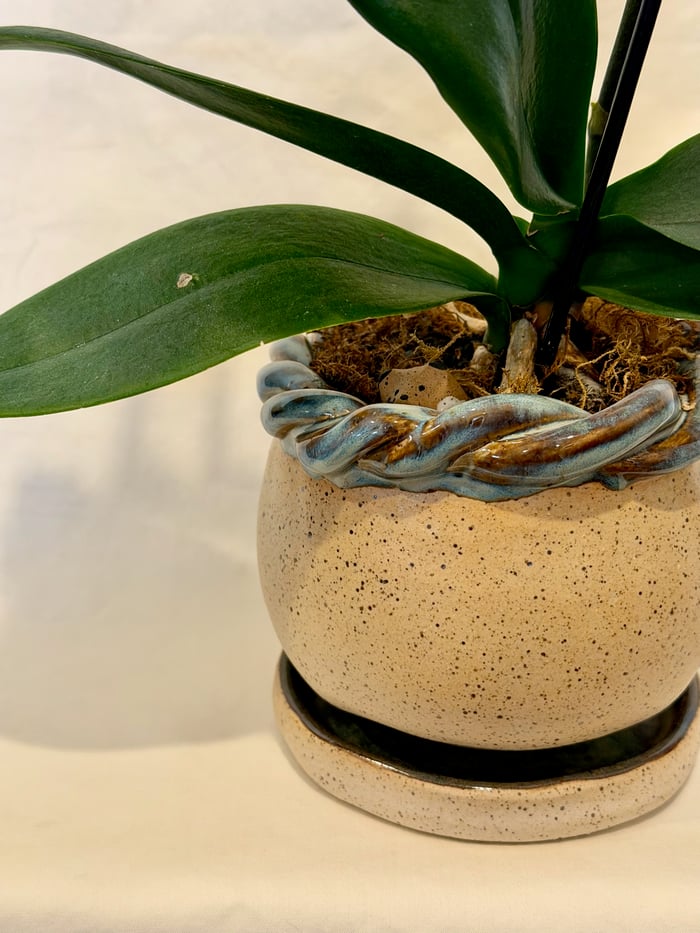 burnished speckled pot — view 1