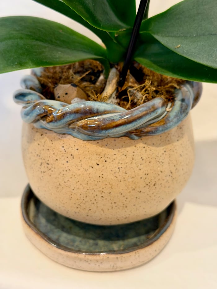 burnished speckled pot — view 4