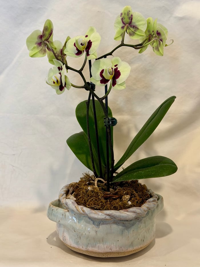 braided basket pot — view 2