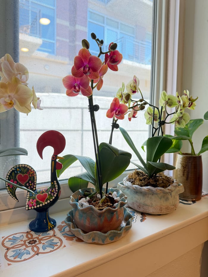 frilly-rimmed pot — view 3