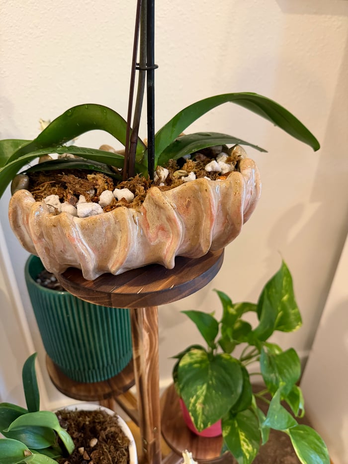 iridescent funky planter — view 6