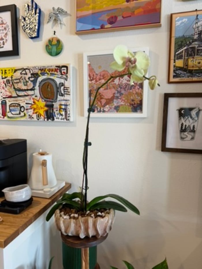 iridescent funky planter — view 7
