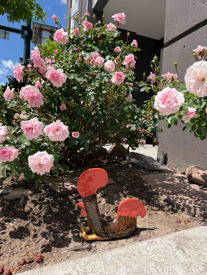 the garden galo — view 1